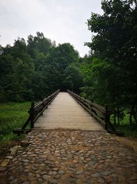 Empty footpath amidst trees against sky