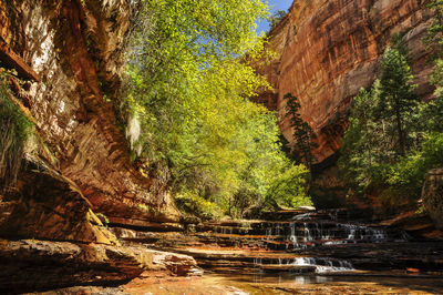 Scenic view of waterfall in forest