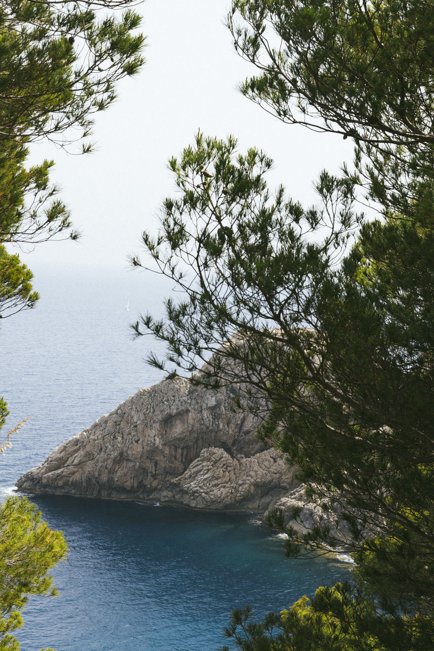 water, tree, plant, beauty in nature, nature, scenics - nature, sea, tranquility, no people, body of water, land, day, tranquil scene, sky, outdoors, rock, non-urban scene, beach, idyllic, growth, travel destinations, shore, coast, travel, forest, environment, high angle view, reflection, tourism, green