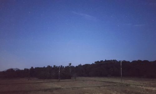 Trees on field against clear sky at night