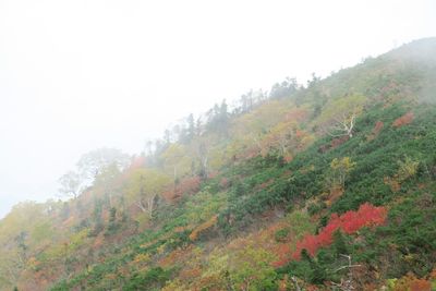 Scenic view of mountains