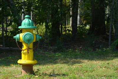 Close-up of fire hydrant in forest