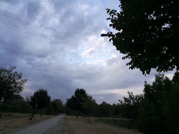 Road amidst trees against sky