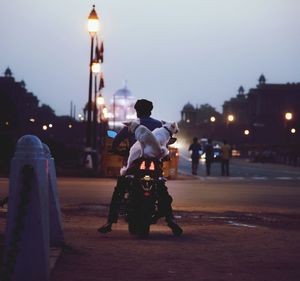 Rear view of man with pet dogs on illuminated street at night