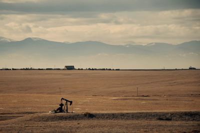 Scenic view of field against sky
