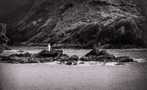 Birds perching on rock by sea against sky