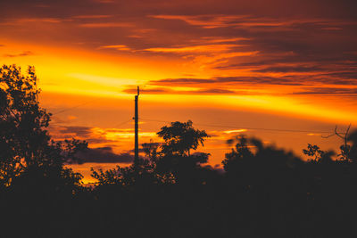Silhouette trees against orange sky during sunset