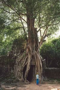 Woman standing against trees and old temple