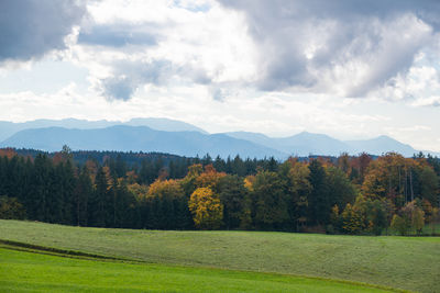 Scenic view of landscape against sky