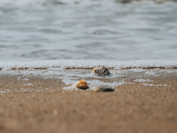 sand