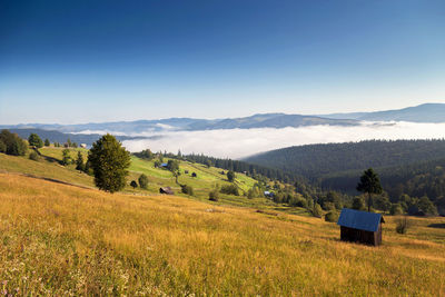 Scenic view of field against clear blue sky