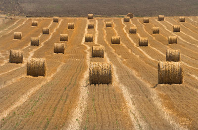 High angle view of hay bales on field