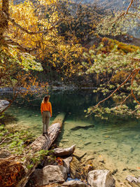 Rear view of woman walking in forest