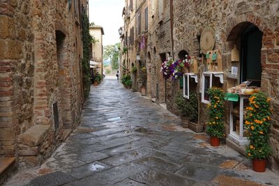 Alley amidst buildings in town