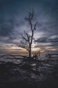 Silhouette bare trees on shore against sky during sunset