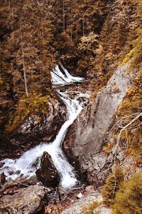 Stream flowing through rocks in forest