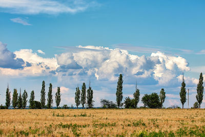 sky