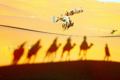 High angle view of people on sand