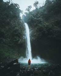 Scenic view of waterfall in forest