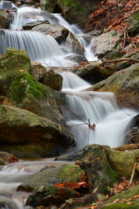 Scenic view of waterfall in forest