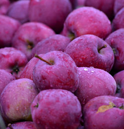 Full frame shot of fruits for sale in market