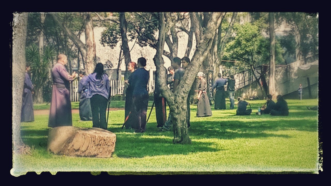 grass, transfer print, tree, auto post production filter, field, leisure activity, lifestyles, green color, park - man made space, grassy, standing, growth, person, casual clothing, day, men, outdoors, lawn