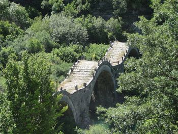 Old bridge amidst trees in forest