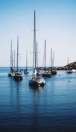 Boats moored at harbor