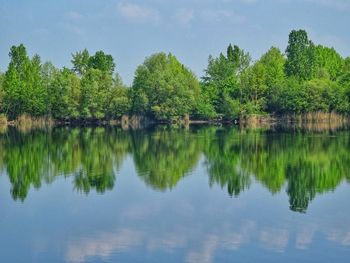 Scenic view of lake by trees against sky