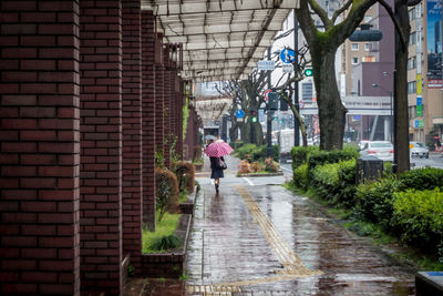 Rear view of woman with umbrella walking on sidewalk during rainy season