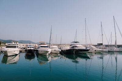 Sailboats moored in harbor