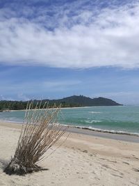 Scenic view of beach against sky