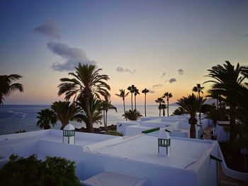 Palm trees by swimming pool against sky during sunset