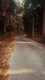 Empty road along trees in city