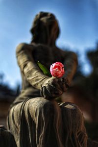 Rear view of person with red flower against sky