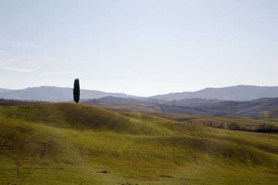 Scenic view of field against clear sky