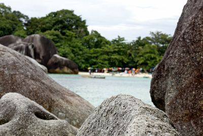 Close-up of crab on beach against sky