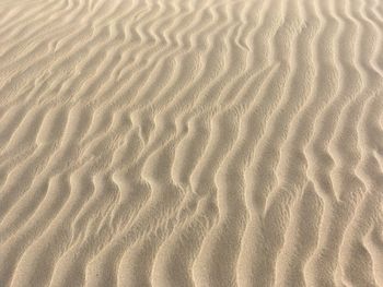 Full frame shot of sand dune