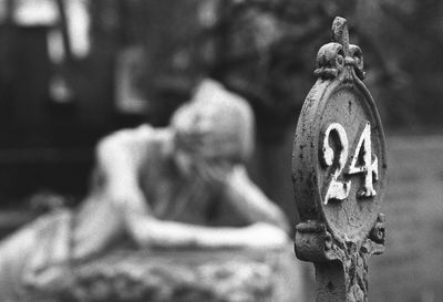 Close-up of blurred background