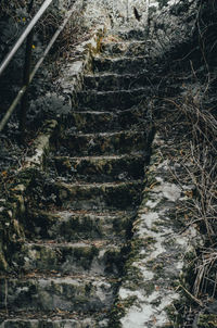 Low angle view of steps on wall