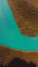 Aerial view of a river 