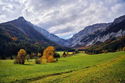 Scenic view of field against sky