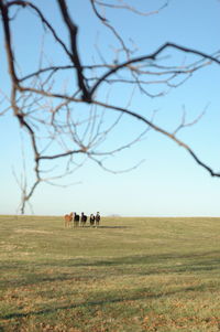 Scenic view of bare tree on field against sky