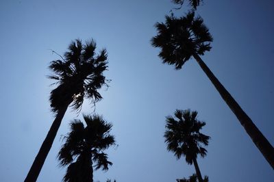 Low angle view of silhouette palm trees against clear sky