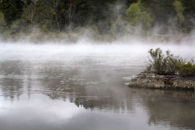 Misty lake scenic landscape