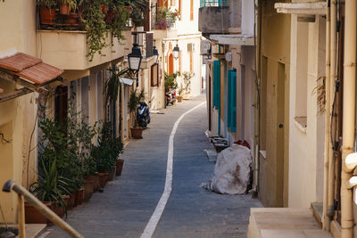 Man walking with dog