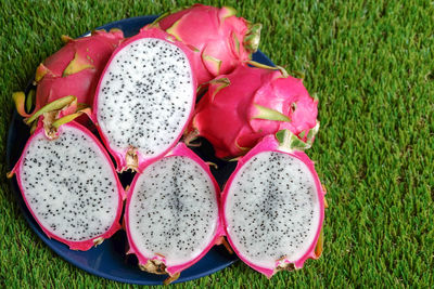 High angle view of pink eggs on field
