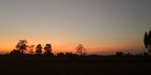 Silhouette trees on field against sky during sunset