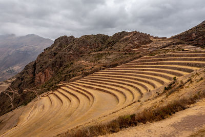 Scenic view of agricultural landscape against sky