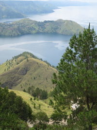 High angle view of trees on landscape against sky